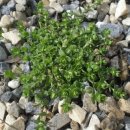 수댕이네 이미지