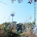 대부해솔길 2코스 이미지