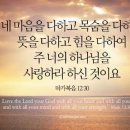 마음과 목숨과 뜻과 힘을 다하여(막 12:28-34) 이미지