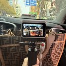 준오골천 | 20260403 금요일에 할거 없어서 홍천으로 글램핑 가서 고양이 턱에 진드기 떼주고온 날