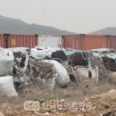 이에스바이오 이미지