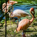 오월의정원 포레스트 이미지