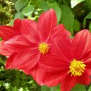 청원농장 이미지