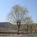 매화리경로당 이미지