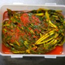 과실 및 그 외 채소 절임식품 제조업 | 맛장군 열무김치 | 매일 아침 담그는 열무김치 토스 쇼핑 여름반찬 추천