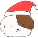 망고네 펫 살롱 이미지