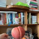 종로-신영-종로-영-397 | 무한 굴레의 연속