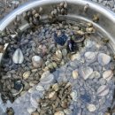 갯벌이야기펜션 이미지