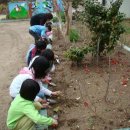 소원초등학교 의항분교장 이미지