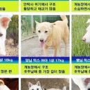 럭키아이콘 이미지