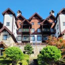 용평리조트용평9골프코스 네이버블로그