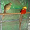 금계로1 이미지