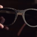 안경나무 이미지