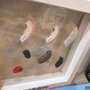 명성보청기 이미지