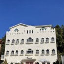 세븐일레븐(통영무전중앙점) | [통영애견동반] 로맨틱한 유럽풍 레스토랑 :: 해쉬 통영점 내돈내산