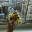 Time sqare/SoHo:chobani,캐리의 집,휘트니미술관/The High Line:Intelligensia coffee/ The Ride투어