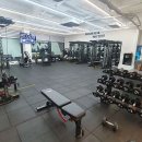 빅스톤짐 이미지