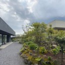 도구로1길 75 이미지