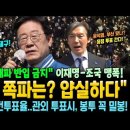 선관위 &#34;대파 반입 금지&#34;에 이재명-조국 맹폭! &#34;그럼 쪽파는? 얍실하다&#34; 국정원에도 견제구 날렸다! 이미지