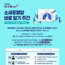 아가폐