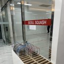 선릉 삼성 직장인 운동 초보자 추천 스쿼시 다이어트에 추천