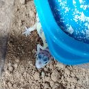 화성사슴농장 이미지