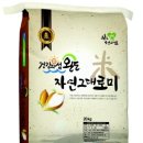 완도바다그대로 이미지