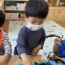빛가람동물병원 | 33개월 아기와 나주댁일상