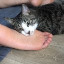 쇼미더멍 이미지