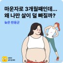케이리그룹K.LEE | 마운자로 효과 언제부터? 체중 감량 시작 시기와 늦게 빠지는 이유