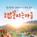 조팝꽃피는마을 이미지