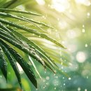 정화세탁소 이미지