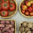 감성 라탄 이미지