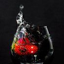 새들의 아침 이미지