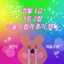 [꿀팁포함] 애증의 컴활1급 합격후기(인강추천/공부방법/엑셀,액세스 공부법/오답노트 공유)