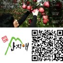 오성애드 - 광진구 자양로13길 20 | 오성애드