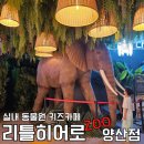 유림-1143 | 리틀히어로ZOO 양산점(실내 동물원이 있는 키즈카페)