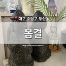 세컨델리 | [대구 수성구] 두산동 맛집 '봄결' 들안길본점 황금역 수성못 제주 흑돼지 한돈 미나리 단체 회식...