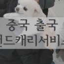 청도펫동물병원 이미지