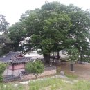 초록별민박 이미지