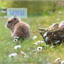 다경샵