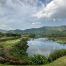 테마골프센터 이미지