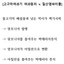 어항 세탁소 이미지