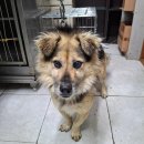 나래동물병원 이미지