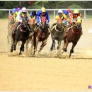 경마공원 이미지