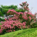 오늘밤 가장 불쌍한 부부 (남촌에 사는 어느 가난한 부부를 찾아온 불청객, 현종, 숙종, 이서우) 야담 이미지