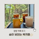 숲속솔향기 | 양양 북카페 카페 로그 후기｜소나무 숲속에서 여유를 즐긴 베이커리 카페