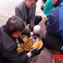 진해구 ⓒ-37 이미지