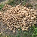 풍동농장 이미지