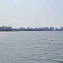 기흥호수공원 이미지